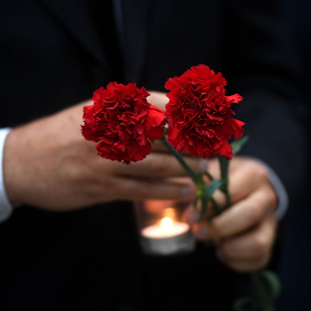  Фото: Кирилл Каллиников / РИА Новости