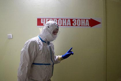 В Раде рассказали о пути Зеленского к сказочному обогащению