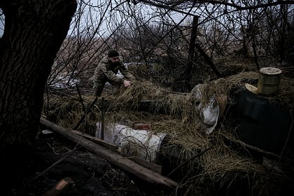 Опубликовано фото погибшего в схватке с якутским бойцом солдата ВСУ