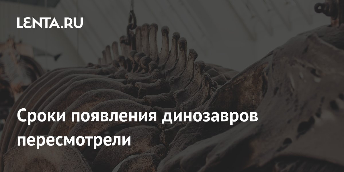 lenta.ru