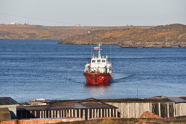 Вводная картинка