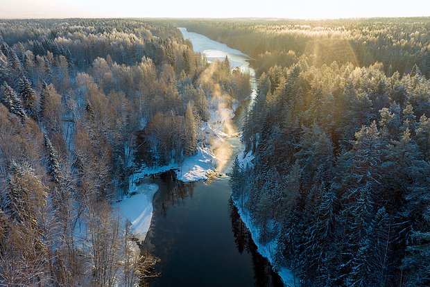 Вводная картинка