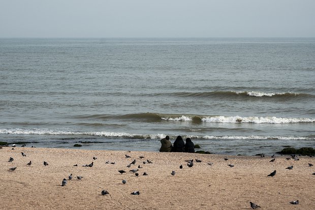 Вводная картинка