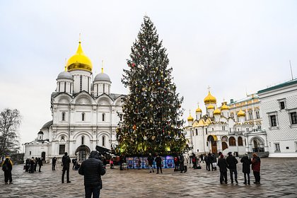 Главную новогоднюю елку страны переработают