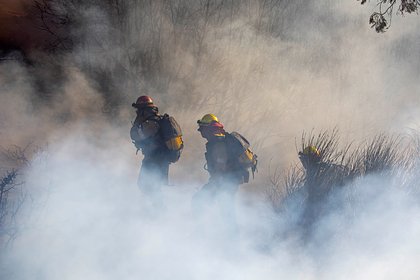 В США арестовали одного из виновников пожаров в Лос-Анджелесе