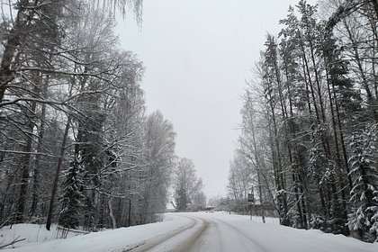 Гидрометцентр предупредил россиян об опасных явлениях из-за аномально теплой погоды