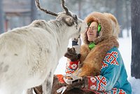 Сибирский Биг-Бен, блины из крови оленя и лучший десерт. Зачем туристы едут в Югру — царство снега и 40-градусных морозов?