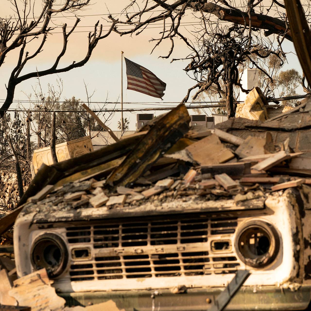 Фото: David Ryder / Reuters