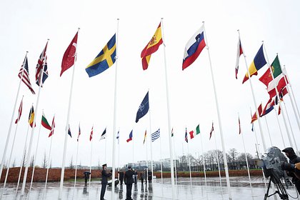 Глава МИД Украины оценил альтернативы НАТО