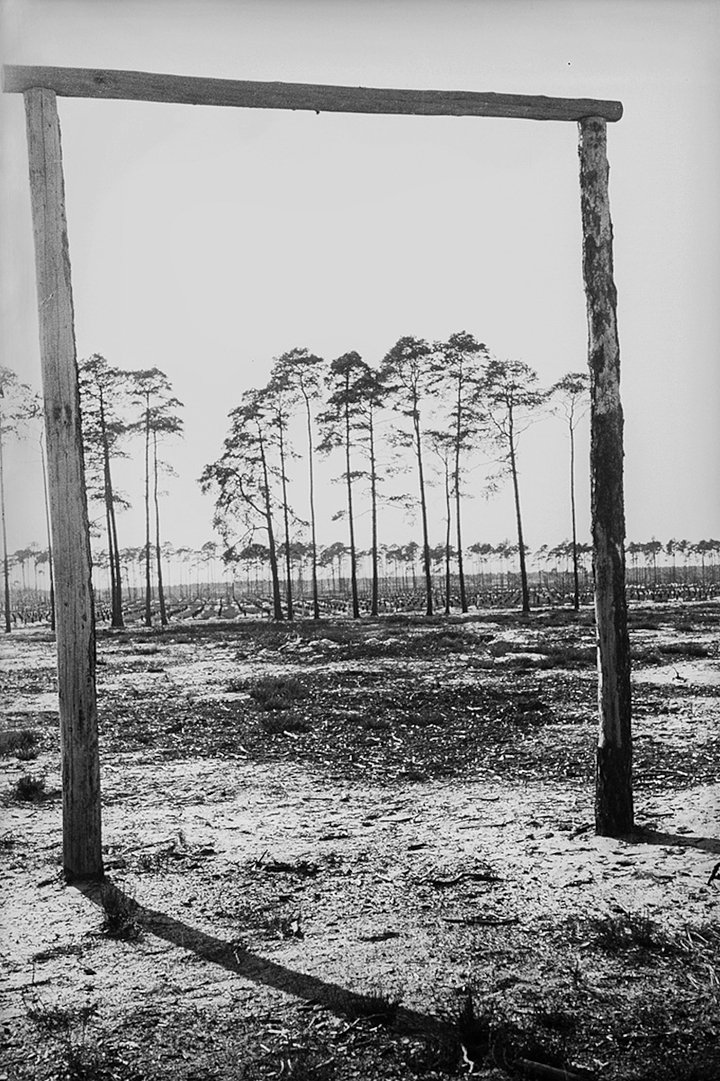 Виселица на территории концентрационного лагеря Майданек. Польша, 1944 год