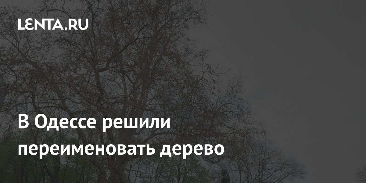 В Одессе решили переименовать дерево