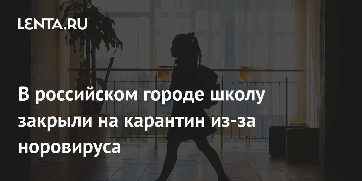 В российском городе школу закрыли на карантин из-за норовируса