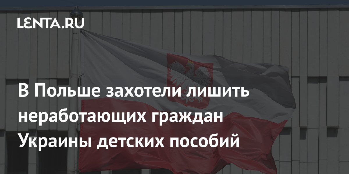 В Польше захотели лишить неработающих граждан Украины детских пособий