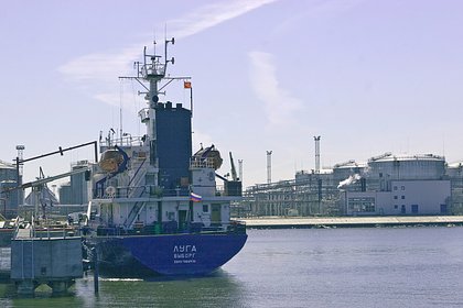 Генпрокуратура подала иск в суд к владельцам Петербургского нефтяного терминала