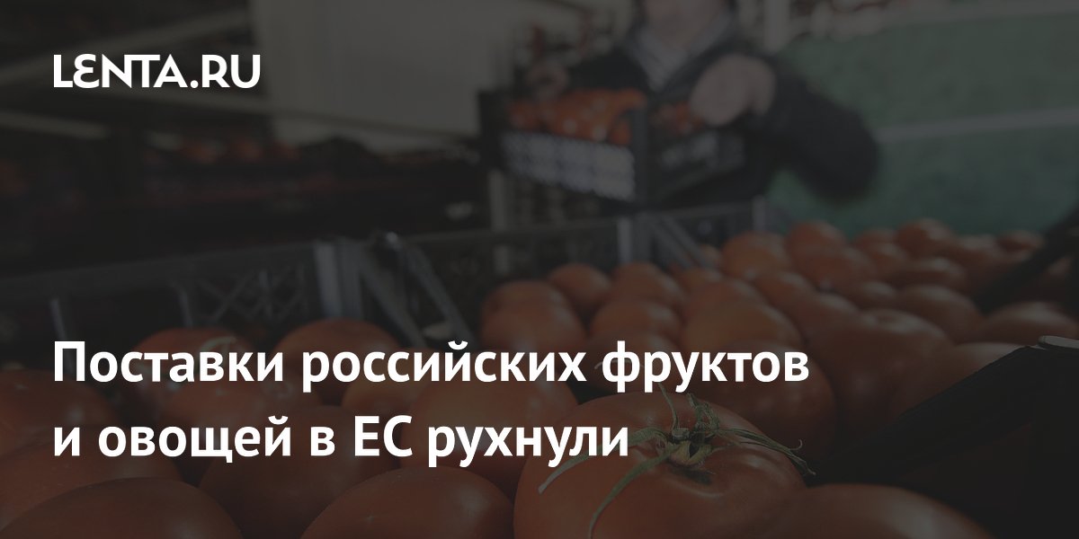 Поставки российских фруктов и овощей в ЕС рухнули