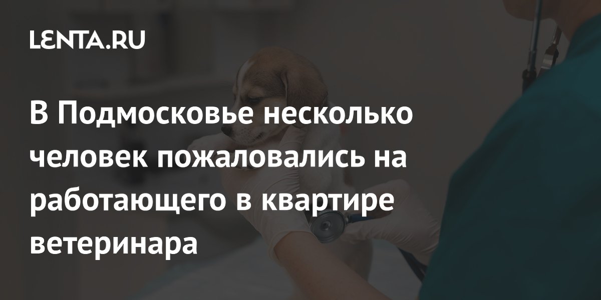 В Подмосковье несколько человек пожаловались на работающего в квартире ветеринара