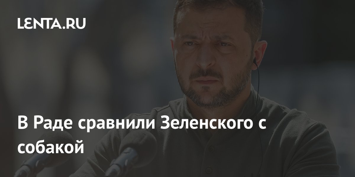 В Раде сравнили Зеленского с собакой