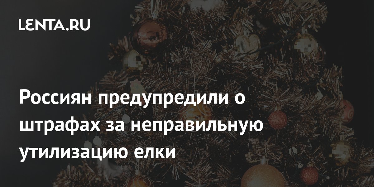 Россиян предупредили о штрафах за неправильную утилизацию елки