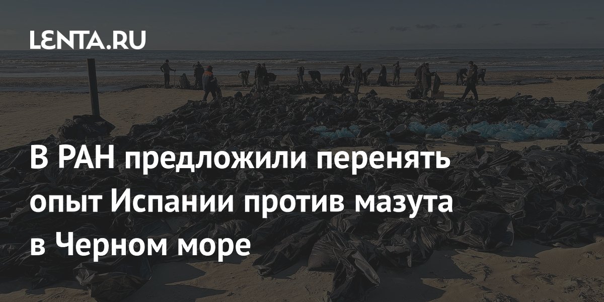 В РАН предложили перенять опыт Испании против мазута в Черном море