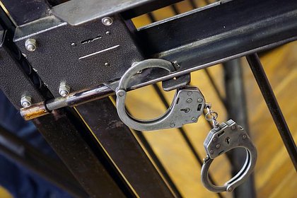 Бывших чиновников Минприроды России обвинили в коррупции и отправили под арест