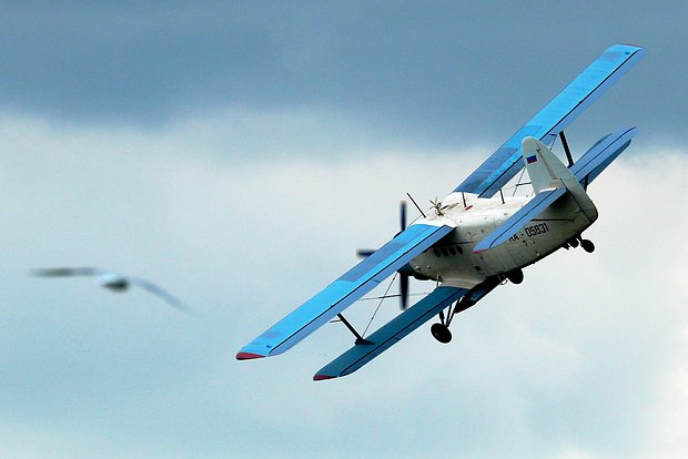 Самолет Ан-2 при обработке сельскохозяйственных полей, Краснодарский край