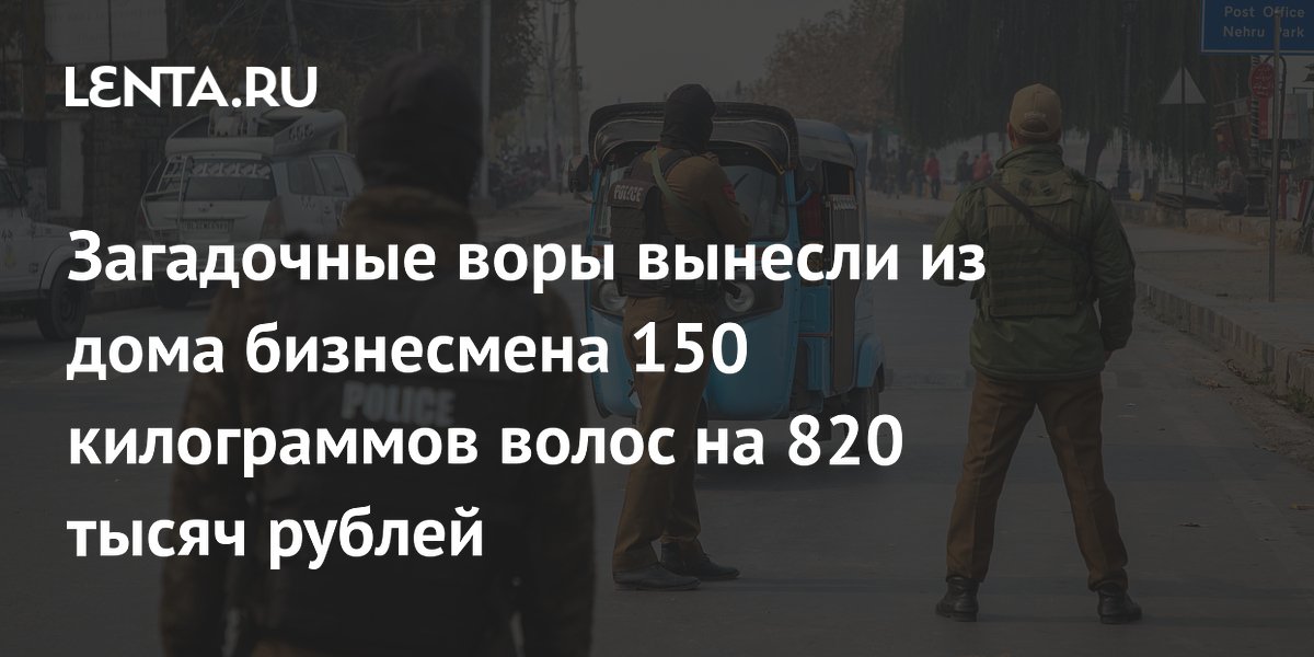 Загадочные воры вынесли из дома бизнесмена 150 килограммов волос на 820 тысяч рублей