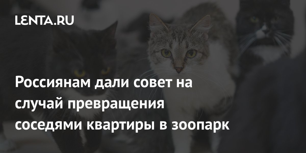 Россиянам дали совет на случай превращения соседями квартиры в зоопарк