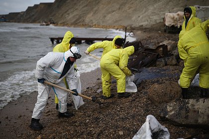 Обругавший чистящих птиц от мазута волонтеров чиновник заявил о ликвидации своей должности