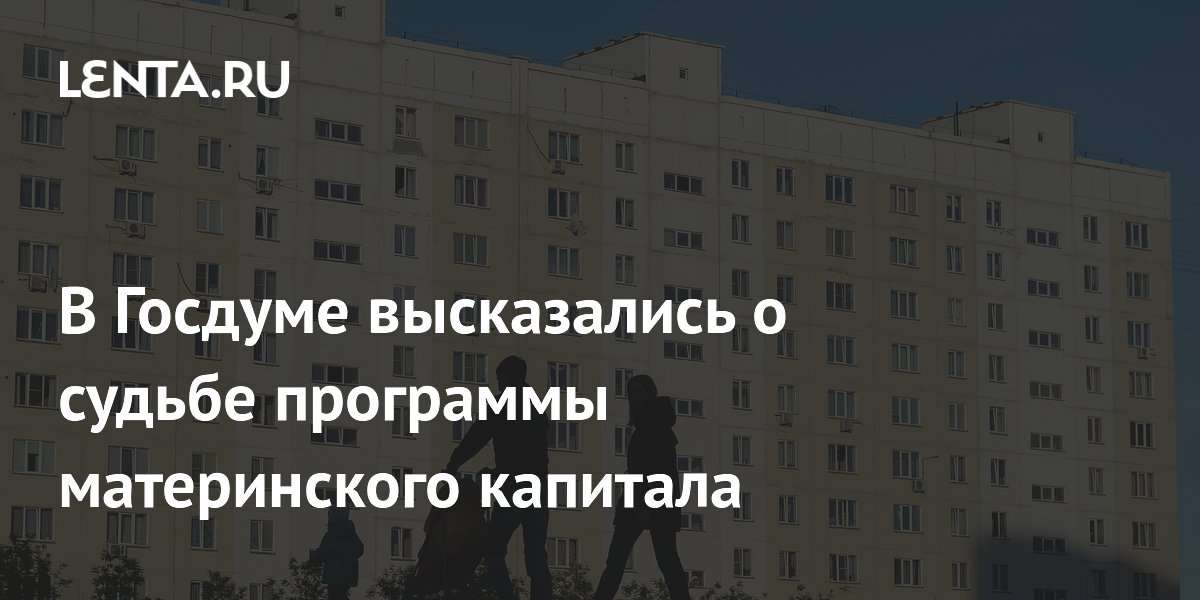 В Госдуме высказались о судьбе программы материнского капитала