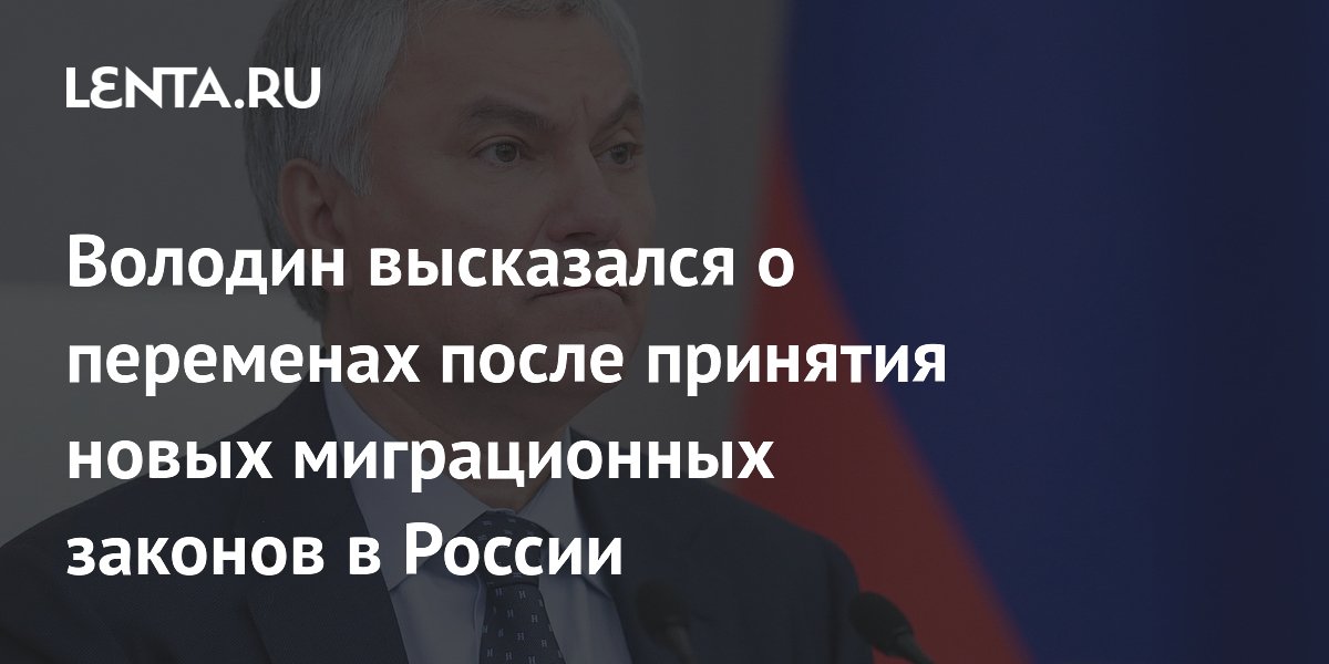 Володин высказался о переменах после принятия новых миграционных законов в России