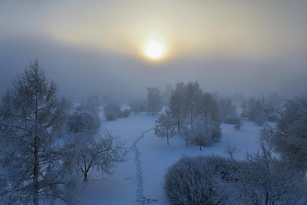 Вводная картинка