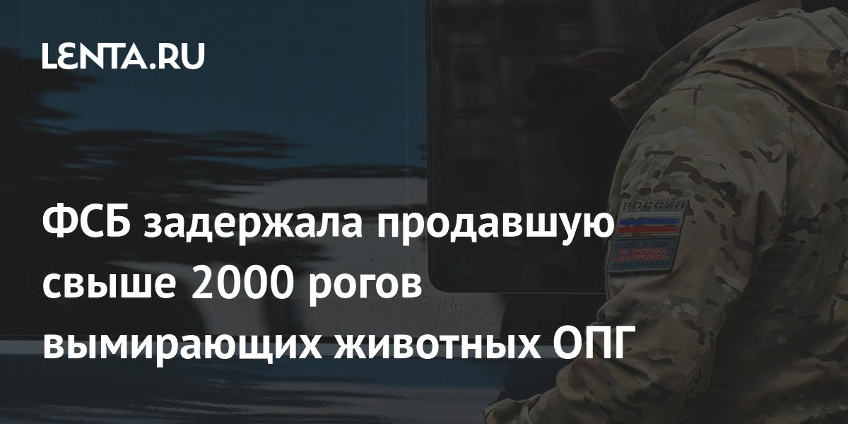 ФСБ задержала продавшую свыше 2000 рогов вымирающих животных ОПГ