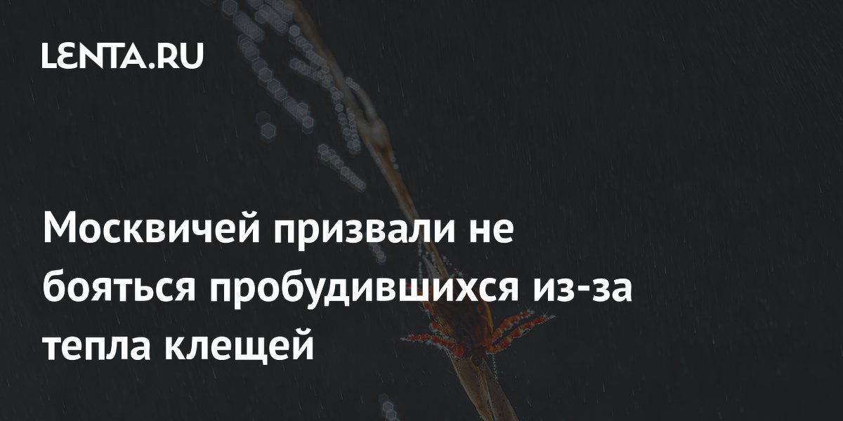 Москвичей призвали не бояться пробудившихся из-за тепла клещей