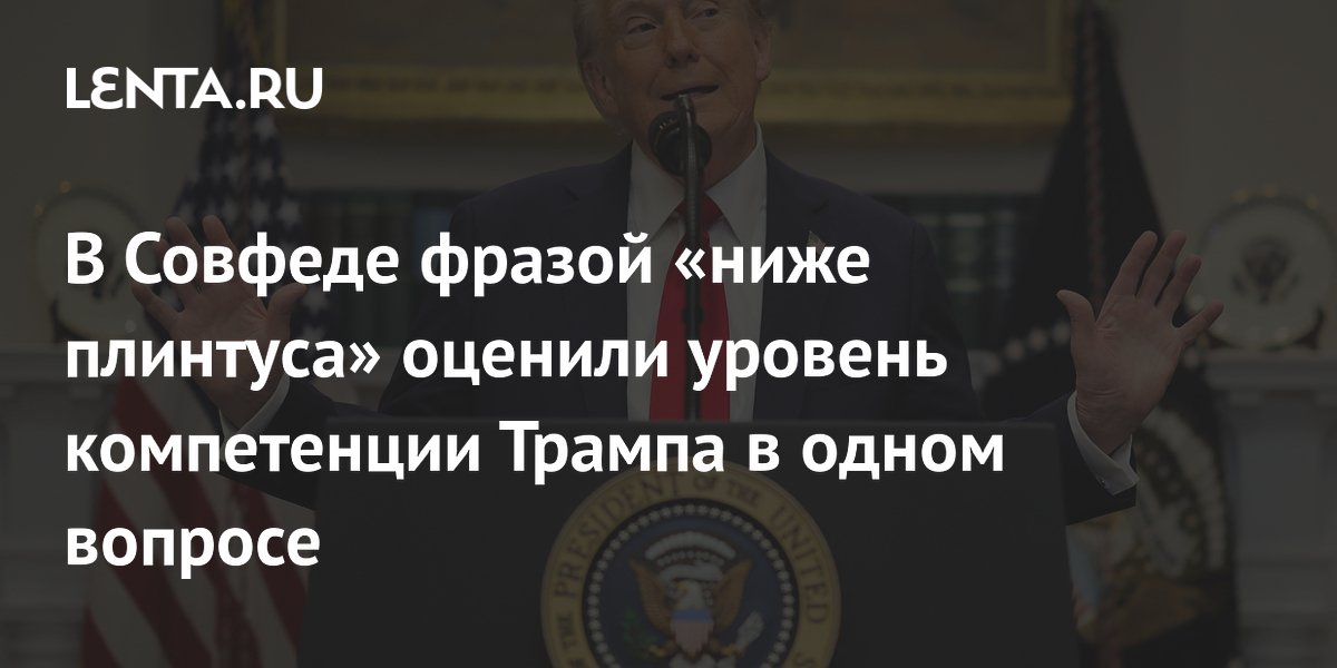 В Совфеде фразой «ниже плинтуса» оценили уровень компетенции Трампа в одном вопросе