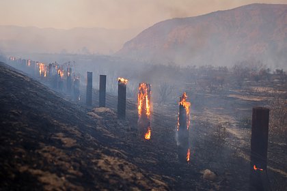 В Лос-Анджелесе вспыхнул новый лесной пожар