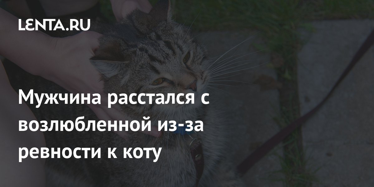 Мужчина расстался с возлюбленной из-за ревности к коту