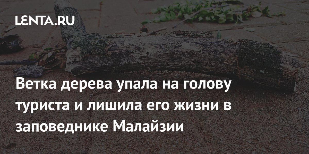 Ветка дерева упала на голову туриста и лишила его жизни в заповеднике Малайзии