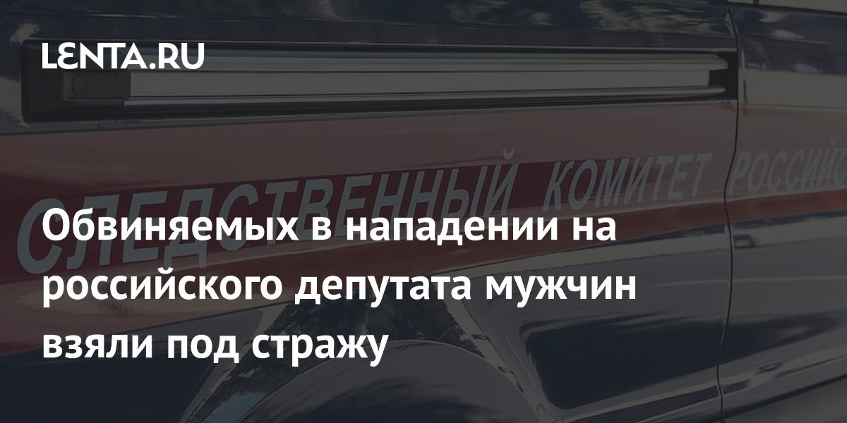 Обвиняемых в нападении на российского депутата мужчин взяли под стражу