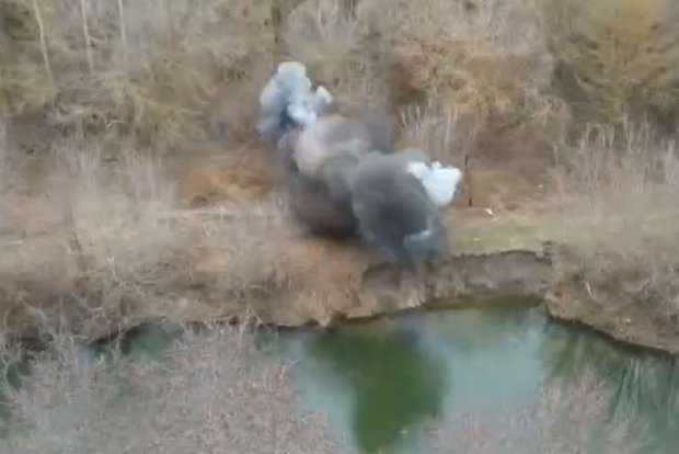 Вводная картинка