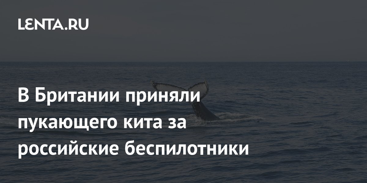 В Британии приняли пукающего кита за российские беспилотники