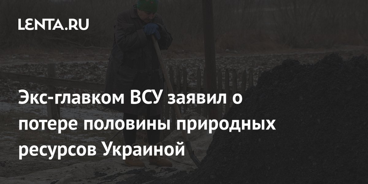 Экс-главком ВСУ заявил о потере половины природных ресурсов Украиной