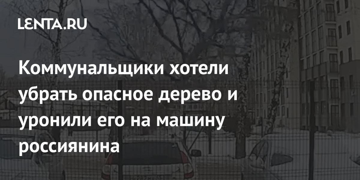 Коммунальщики хотели убрать опасное дерево и уронили его на машину россиянина