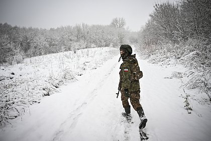 Раскрыты подробности освобождения села Николаево-Дарьино под Курском