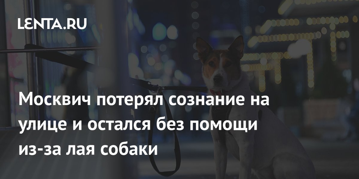 Москвич потерял сознание на улице и остался без помощи из-за лая собаки