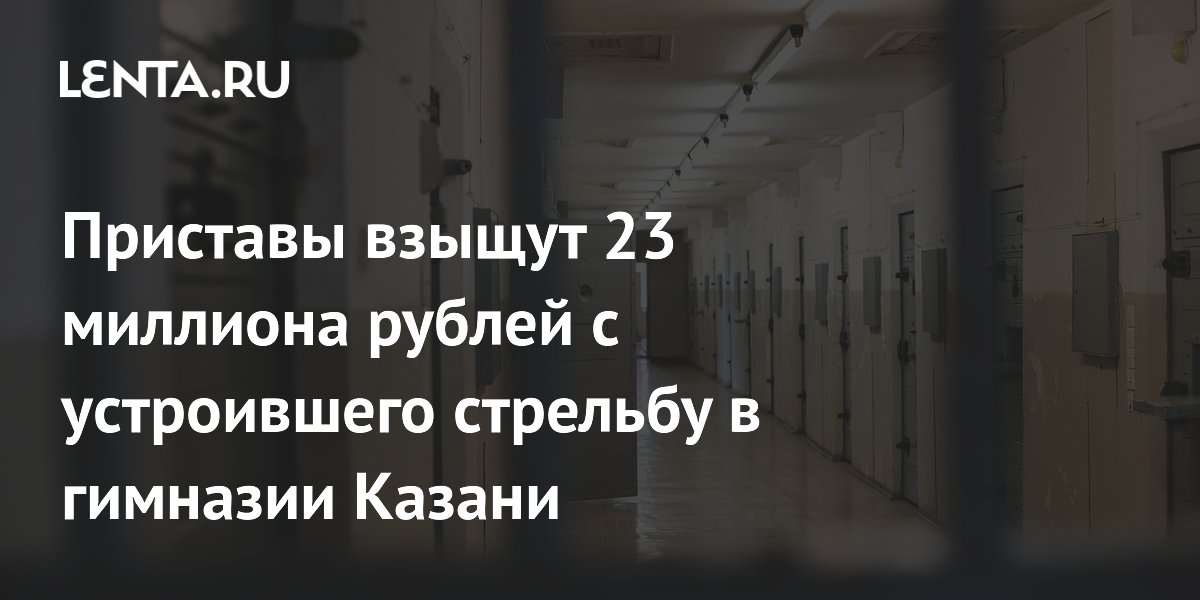 Приставы взыщут 23 миллиона рублей с устроившего стрельбу в гимназии Казани