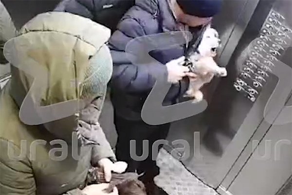 Вводная картинка