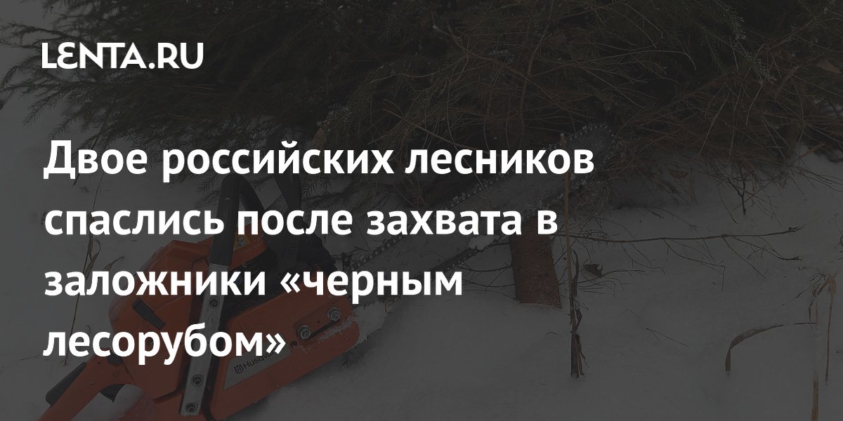 Двое российских лесников спаслись после захвата в заложники «черным лесорубом»