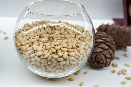 Некоторых россиян призвали отказаться от кедровых орехов