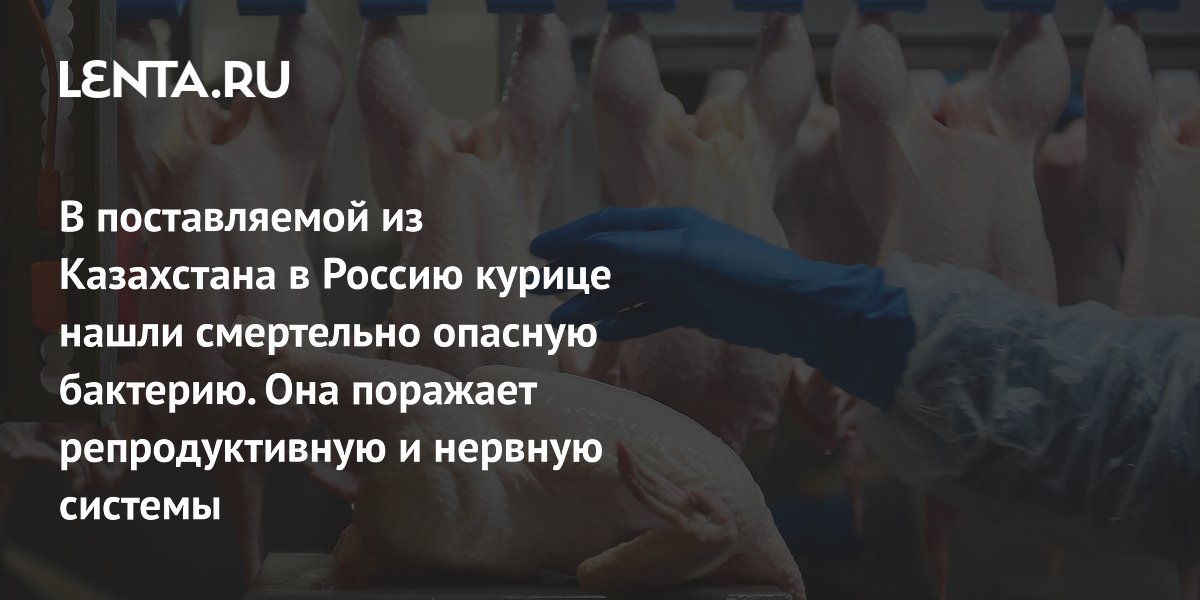 В поставляемой из Казахстана в Россию курице нашли смертельно опасную бактерию. Она поражает репродуктивную и нервную системы