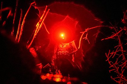 Под Курахово в плен сдалась группа бойцов ВСУ